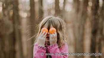 Wer schreibt uns vor, was wir essen sollen – und warum?