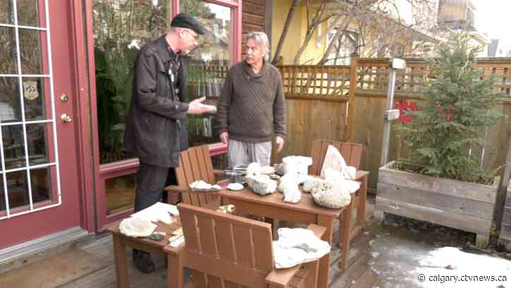 The Alberta Palaeontological Society hosting its annual symposium open to dinosaur enthusiasts of all ages