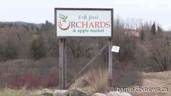 Apple growers concerned crops may be lost this season