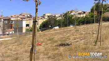 Baby gang spezza braccio a un 16enne nel parco, volevano rapinarlo