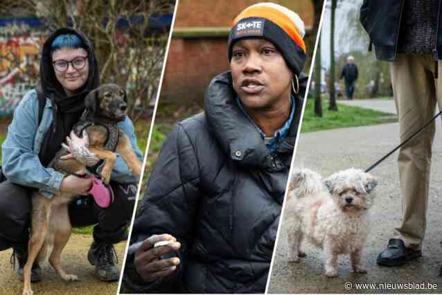 Drugs en geweld teisteren Herentalse stadspark: “Maar de ‘Cara Pils-bende’ heeft er niks mee te maken”