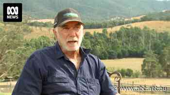 Researchers designing 'smoke alarm for the power network' to stop transmission cables sparking bushfires