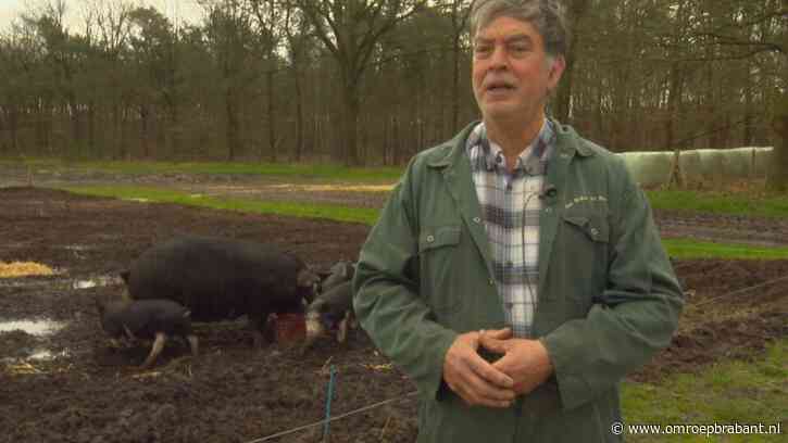 Deze boer is blij dat Jumbo stopt met kiloknallers: 'Niet mee stunten'