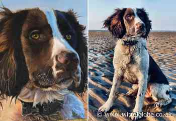 Wirral artist creates lifelike paintings from favourite photographs