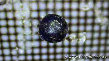 Extraordinary row breaks out between Harvard, Johns Hopkins scientists over origin of mystery object that came from outer space