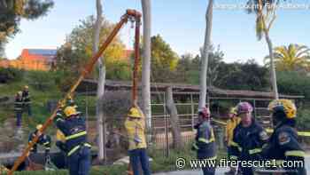 Watch: Calif. FFs face challenging rescue while removing horse from trench