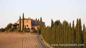 Landhäuser: Wohnen in Südeuropa – Wo Idylle auf Rendite trifft