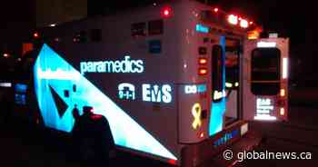 Woman rescued from Toronto’s Humber River dies in hospital