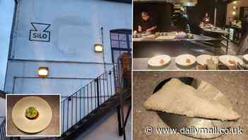 I ate at the world's first zero-waste restaurant in Hackney - and it doesn't even have a BIN