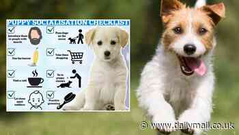 'Puppy Socialisation Checklist' reveals the 8 things you should do in the first 16 weeks of puppies' lives - from introducing them to bearded men to taking them on a shopping spree