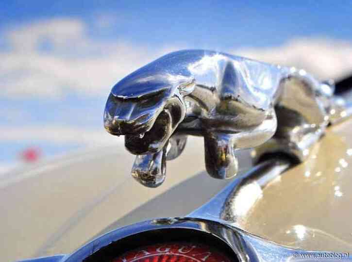 Gaat traditiemerk Jaguar de bietenbrug op?