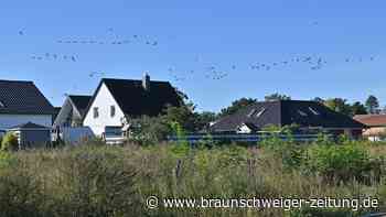 Die Grundsteuer steigt in Wolfsburg erneut