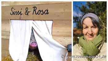 Schwein gehabt: „Wir würden Sissi und Rosa natürlich gern behalten“