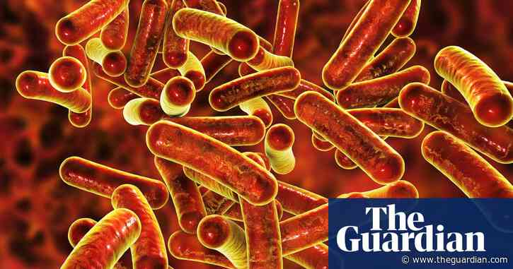 ‘More than the usual gastro’: at least 260 people report symptoms after outbreak at Victorian music festival