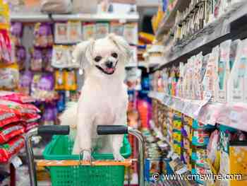 Elevating Marketing with Consumer Research: A Strategic Guide