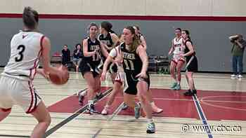 Provincial basketball tournament might be cancelled if STF decides to take job action