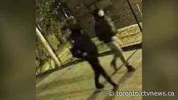 2 suspects sought after allegedly slashing tires, spray painting vehicles in Toronto neighbourhood