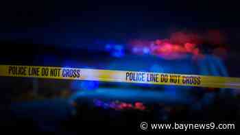 Stretch of U.S. 19 shut down after deputies shoot and kill man in Hudson, per officials