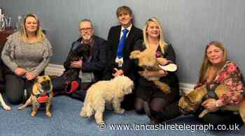 Cardwells Estate Agents launch appeal for Bleakholt Animal Sanctuary