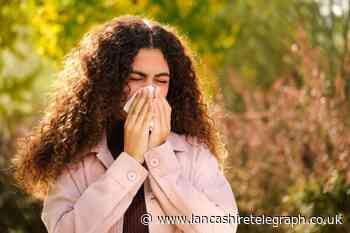 When is hay fever season in UK? See when symptoms will start