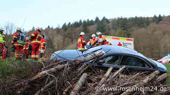 Unfall in Bayern: Baumstamm durchschlägt Windschutzscheibe – Fahrer verletzt
