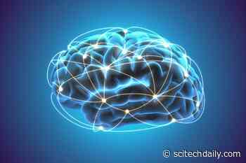 New Study Reveals How the Brain Achieves a Flow State