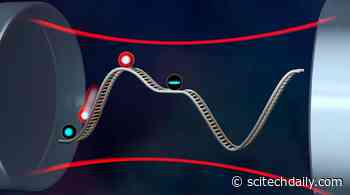 Quantum Leap: How Spin Squeezing Pushes Limits of Atomic Clock Accuracy