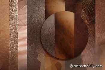 Dermatologists Struggle in Diagnosing Darker Skins – AI Can Help