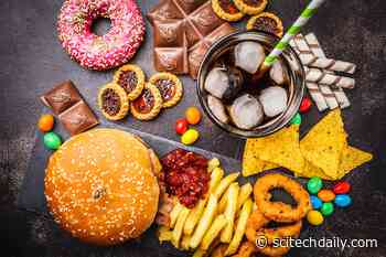 Extensive Research Reveals 32 Health Risks Linked to Ultra-Processed Foods