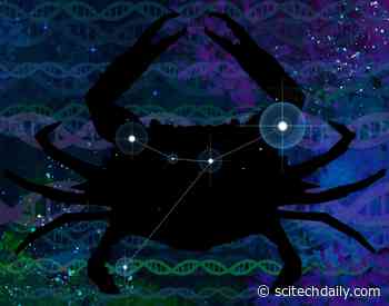 Revolutionizing Cancer Detection: New Machine Learning Method Deciphers Genomic “Dark Matter”