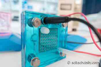 Scientists Supercharge Fuel Cells Using Caffeine
