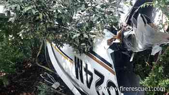 Photos: Calif. fire department rescues 2 adults, child from plane crash