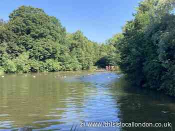 Kenwood Ladies Pond to close from March 18 to March 23