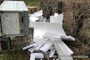 Sluikstort in Bilzen