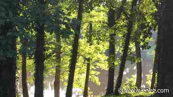 Best Internet Providers in Douglasville, Georgia     - CNET