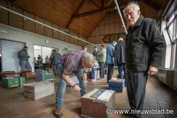 Bijenvolkveiling lokt veel imkers: “Als je warmte voelt, is er broed”