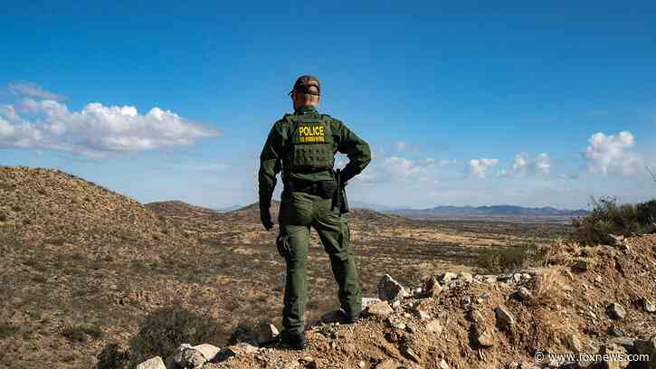 Migrant caught at border admitted terrorist plans to 'make a bomb' in US: report