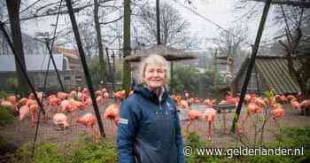 Beer Malysh, olifant Tooth én verzorger José van Ouwehands zijn beroemdheden dankzij ‘Het echte leven’