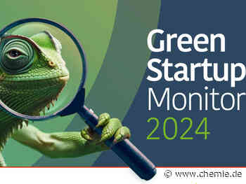 Grüne Startups sind Schlüsselakteure für eine nachhaltige Wirtschaft