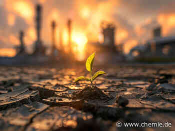 Gute Nachrichten bleiben rar