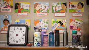 Sask. teacher strikes have made 'class complexity' a hot topic. How might it affect your local school?