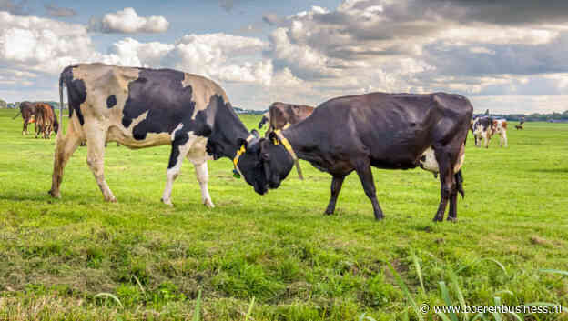 CO2 dicteert waarde voeding en verwart beleid