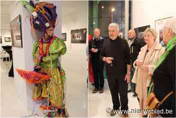 Carnaval Fotogeniek bundelt 25 mooiste beelden van de dolle dagen