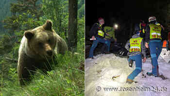 Absturz aus 150 Metern Höhe: Bär hetzt Touristin (†31) in den Tod