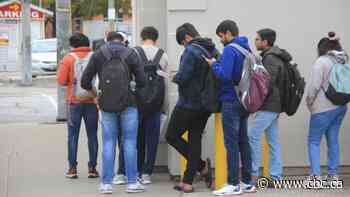 Can Sask. handle a potential influx of international students? Existing students say no