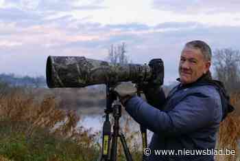 Patrick (66) en vijf collega’s exposeren natuurfoto’s: “Elke dag 7 à 8 uur met camera op vinkenslag voor het mooiste beeld”