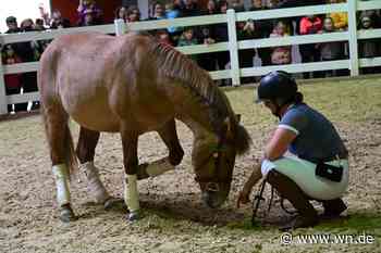 Dülmener Wildlinge begeistern die Zuschauer