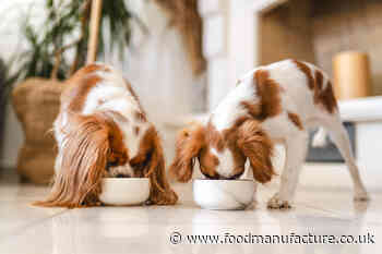 'World's first' cultivated pet food seeks regulatory approval