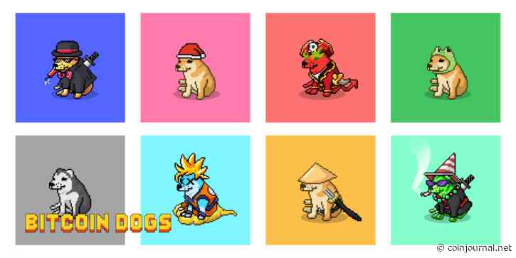 $13.5M raised: Bitcoin Dogs embarks on an ambitious journey of listings and web 3.0 pursuits