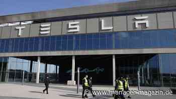 Grünheide wählt Betriebsrat: „Tesla und Elon Musk scheinen Angst zu haben, dass die Belegschaft mitbestimmt"